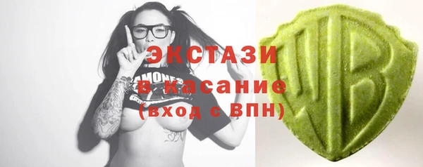 гашик Каменка