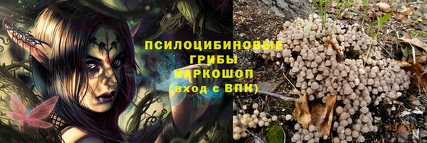 МДПВ Иннополис